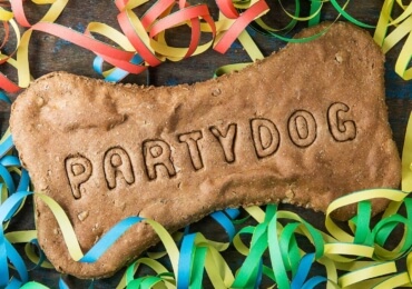 Riesenknochen Party Dog